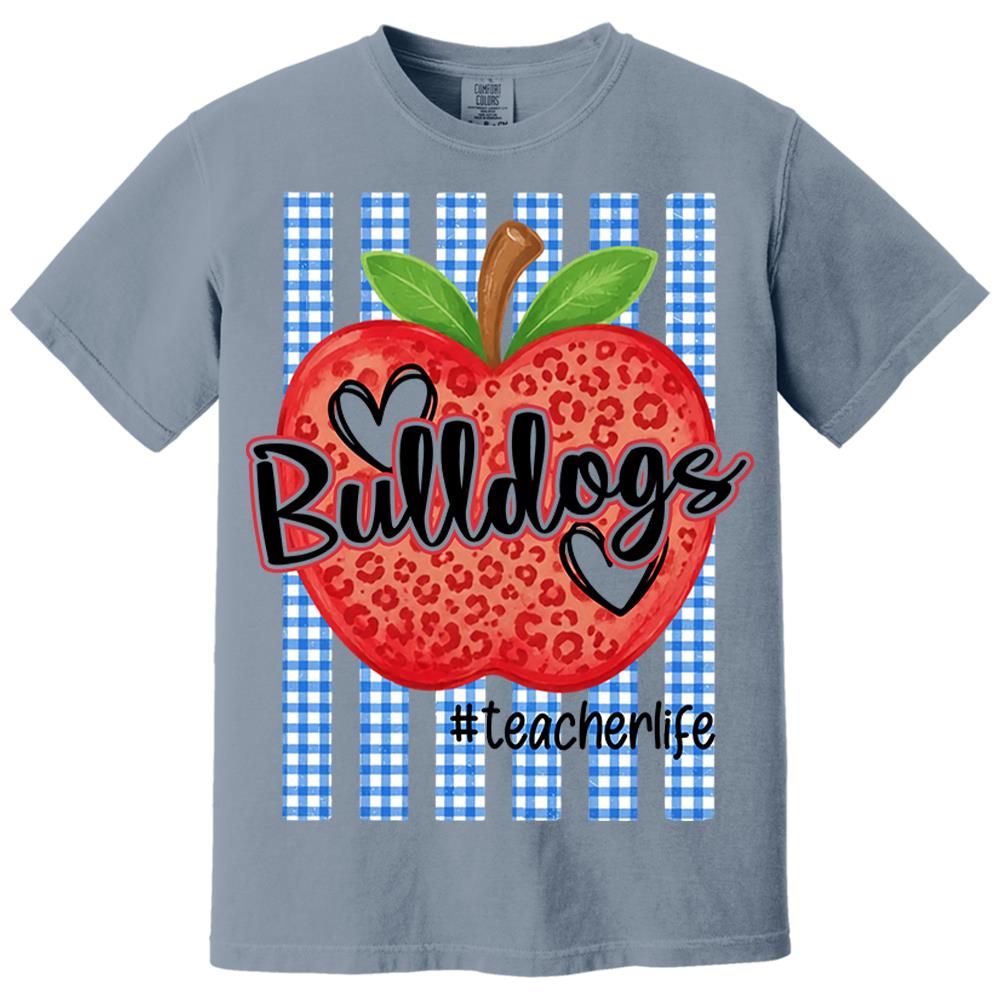 Personalized School Striped Mascot Apple Blue Gingham Stripes T-shirt For Teacher Nh00