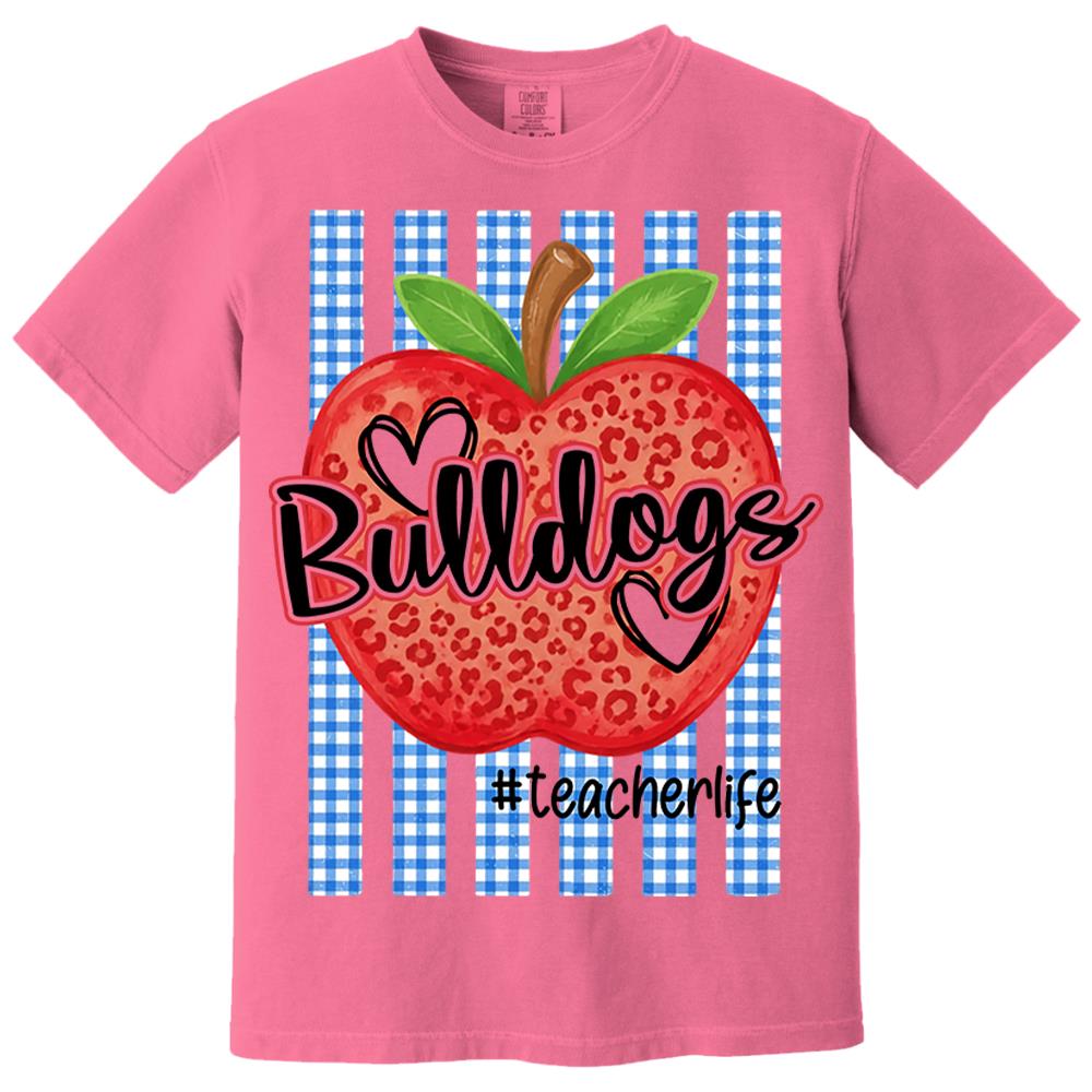 Personalized School Striped Mascot Apple Blue Gingham Stripes T-shirt For Teacher Nh00