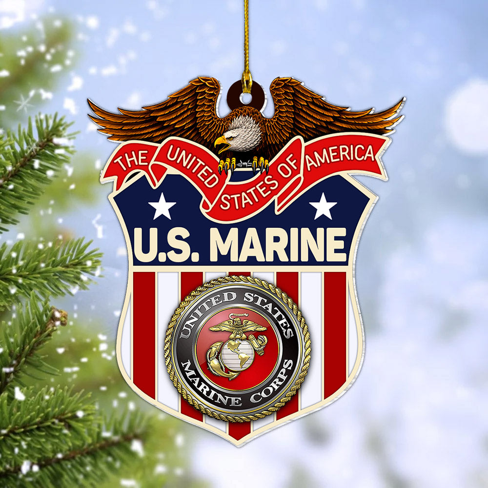 The United States Of America Veteran Personalized Acrylic Ornament Christmas Gift For Military Veteran H2511